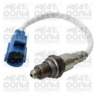 Oxygen Sensor